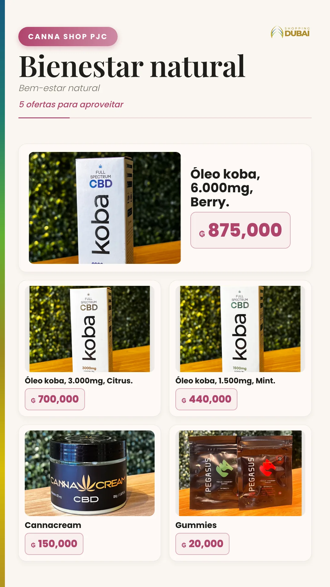 Catálogo de Ofertas · Shopping Day — Shopping Dubai — 29/33